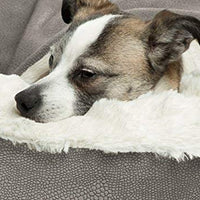 Cama acogedora Best Friends by Sheri, cama de lujo para perros y gatos con cobija, cálida y segura. Brinda apoyo para la cabeza, el cuello y las articulaciones, lavable a máquina, parte inferior resistente al agua - BESTMASCOTA.COM