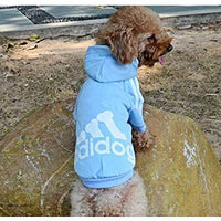 Atuendos deportivos para mascota, abrigos para perros y gatos para clima frío, sudaderas para perro, suéteres para mascota, de Moolecole - BESTMASCOTA.COM