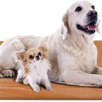 JoicyCo - Cama para perro, almohadilla 35/42/47 en camas lavables, colchón suave para perro, almohadillas antideslizantes para perrera, color de lujo - BESTMASCOTA.COM