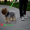 BWOGUE 2 paquetes de correas de seguridad para perros y gatos, para reposacabezas de coche, de nailon, ajustables, para perros, cinturones de seguridad, arnés - BESTMASCOTA.COM