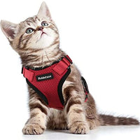 rabbitgoo - Arnés para gato para caminar, a prueba de escape, para gatos pequeños y medianos, arneses ajustables, arnés de malla suave para gatos pequeños, chaqueta de gato segura con tiras reflectantes y 1 anillo de metal - BESTMASCOTA.COM