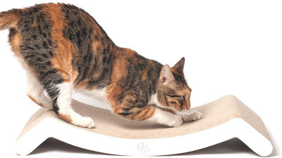 4 garras Scratching Lounge & cama (Color Blanco) – Colección Basics Cat Scratcher - BESTMASCOTA.COM