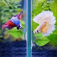 4 piezas Betta Bed Leaf Hamaca para Betta Fish, ligero y realista Resting Spot, sin BPA, práctico, cómodo y seguro - BESTMASCOTA.COM
