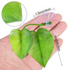 4 piezas Betta Bed Leaf Hamaca para Betta Fish, ligero y realista Resting Spot, sin BPA, práctico, cómodo y seguro - BESTMASCOTA.COM