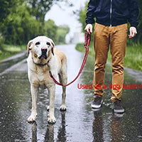 BWOGUE 2 paquetes de correas de seguridad para perros y gatos, para reposacabezas de coche, de nailon, ajustables, para perros, cinturones de seguridad, arnés - BESTMASCOTA.COM