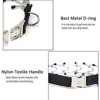 Wellbro collar de entrenamiento con dientes de metal para perros grandes y medianos (Pit Bull, pastor alemán), con hebilla a presión de liberación rápida y puntas de hule, plateado y regulable - BESTMASCOTA.COM