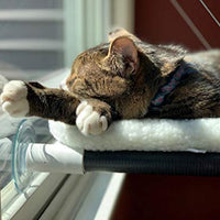 Kitty Cot Original World's Best Cat Perch - BESTMASCOTA.COM