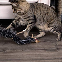 Petlinks Interactive Wand and Launcher Cat Toys - BESTMASCOTA.COM