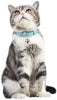 Lumimi - Collar para gato, collar para cachorro, piel auténtica, longitud ajustable, fácil de limpiar, duradero y seguro, incluye cascabel y perforador, multicolor - BESTMASCOTA.COM