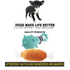 BUIBIIU Juguetes para perros, juguetes de dentición para perros, juguetes para masticar a perros, juguetes para masticar y chirridos, pelotas - BESTMASCOTA.COM