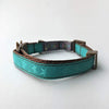 Fantasia Pet Breakaway CAT Collar - Star - BESTMASCOTA.COM