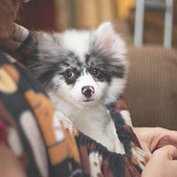 Dukes Digs - Critter Cuddler - Portador de animales pequeños, bolsa para vínculo afectivo, antiansiedad, interactiva, para hacer ejercicio terapéutico para mascotas y para transportar perros pequeños, gatos, erizo, cachorros de viaje - producto de Estados - BESTMASCOTA.COM