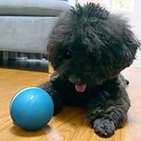 Pelota de mimbre de animal, 100% automática e interactiva para mantener a tus perros y gatos a la compañía todo el día, la alegría de tu mascota cuando estás solo en casa. - BESTMASCOTA.COM