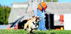 Chuckit Kick Fetch Toy Ball for Dogs - BESTMASCOTA.COM