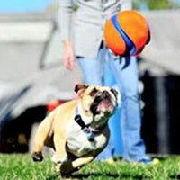 Chuckit Kick Fetch Toy Ball for Dogs - BESTMASCOTA.COM