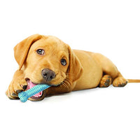 Juguete para masticar para cachorros Nylabone, Petite. - BESTMASCOTA.COM