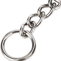 SGODA - Collar de entrenamiento para perros - BESTMASCOTA.COM