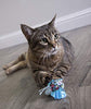 Petlinks Electronic Light Cat Toy - BESTMASCOTA.COM