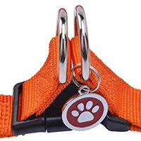 Arnés ajustable Pupteck para perro, medida básica de cachorro, de nailon, chaleco para pasear en exteriores con etiqueta de identificación - BESTMASCOTA.COM