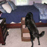 Easy step III mascota escaleras - BESTMASCOTA.COM