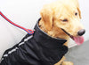 PETCEE - Chaqueta impermeable para perro, forro polar suave para invierno, deportes al aire libre, chaleco para mascotas, traje de nieve, ropa de doble superficie - BESTMASCOTA.COM