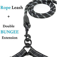 iYoShop Dual Dog Leash, Double Dog Leash, 360 Swivel No Tangle Double Dog Walking Training Leash, Comfortable Shock Absorbing Reflective Bungee for Two Dogs, Black, Medium Large - BESTMASCOTA.COM