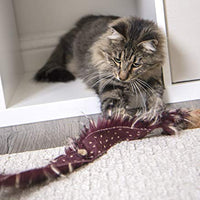 Petlinks Interactive Wand and Launcher Cat Toys - BESTMASCOTA.COM
