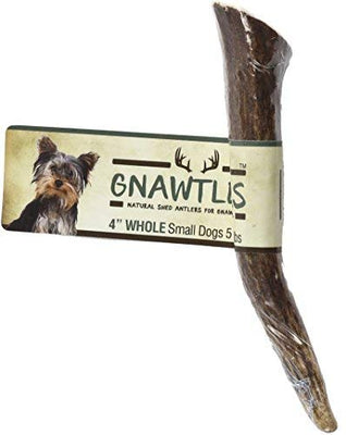 Pet Parents Gnawtlers – Premium alce cuernos para perros, naturalmente cobertizo alce cuernos, todo natural alce Antler masticas, especialmente seleccionado de la montaña rocosa y Heartland Regions – alce cuernos para perros - BESTMASCOTA.COM