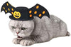 Idepet - Disfraz de Halloween para perro, 8 alas de araña, color morado, para cachorros - BESTMASCOTA.COM