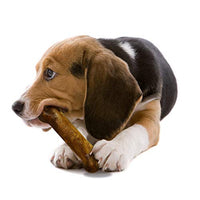 Nylabone saludables comestibles asados carne de vacuno sabor perro dulces | todos los natural sin granos perros dulces hechos en los Estados Unidos sólo | Pequeño y grande perro masticar dulces | 2 unidades - BESTMASCOTA.COM