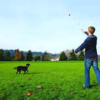 ¡Chuckit! Lanzador deportivo de pelotas para perro. - BESTMASCOTA.COM