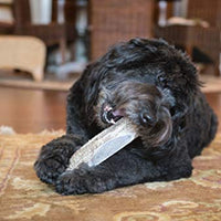 Premium Elk Antlers Dogs | All Natural Antler Dog Chew Elk Bone | Healthy & Long Lasting Aggressive Chewers | Wild Sourced in The USA - Veteran Owned - BESTMASCOTA.COM