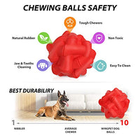 WingPet - Pelotas de goma natural para masticar, duraderas, ideales para entrenamiento al aire libre o juego de ganar, 2.4 pulgadas, paquete de 2 - BESTMASCOTA.COM