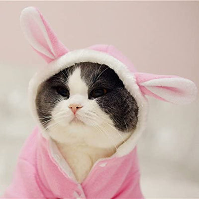nacoco perro disfraz de conejo mascota perrito sudaderas con capucha ropa Escudo conejo Otoño Invierno Halloween para pequeño de perro y gato - BESTMASCOTA.COM