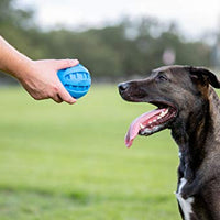 Nerf - Pelota de chirriar para perro - BESTMASCOTA.COM