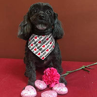 BoomBone Dog Valentines Day Bandana 2 Pac,Triangle Bibs Pet Scarf for Medium and Large Dogs - BESTMASCOTA.COM