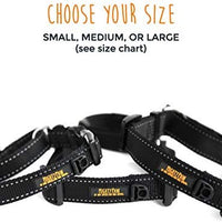 Collar de entrenamiento de nailon Mighty Paw Martingale. Nuestro collar de zapatillas de entrenamiento aprobado limitado. Collar de cincha modificado para una fuerza controlada para un entrenamiento óptimo. Costuras reflectantes para mantener a tu perro s - BESTMASCOTA.COM