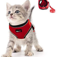 Kamots Beauty - Arnés y correa ajustables para perro y gato, malla suave con correa reflectante para pasear a mascotas pequeñas - BESTMASCOTA.COM