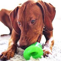 Bionic Bone Juguete resistente para perros - BESTMASCOTA.COM