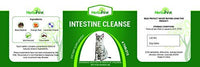HerbalVet 10 Tablets Cat Intestinal Cleanse | Cat Dewormer Alternative | Cleansing Tablets for Cats, Promotes Intestinal Health | 4 Tablets, Works for Kittens | Helpful E-Book Included - BESTMASCOTA.COM