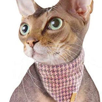 Azuza - Collares para gato pequeño con campanas extraíbles, 2 unidades de collares de piel sintética con pajarita y bandana - BESTMASCOTA.COM