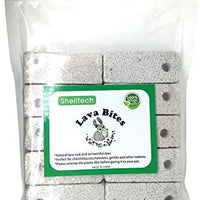 Shelltech - Puntas de lava para hámster, juguete para masticar y masticar - BESTMASCOTA.COM