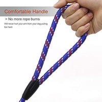 Correa Coolrunner collar de entrenamiento para mascota de Cesar el encantador de perros - BESTMASCOTA.COM