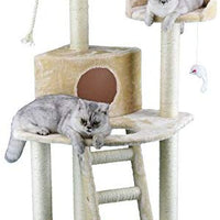 GO Pet Club Paw Print 48 en. Cat Árbol Condo - BESTMASCOTA.COM