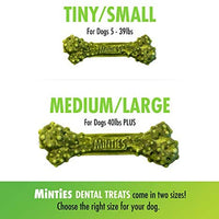 Vetiq Minties Dog Dental Bone Treats, Dental Treats For Dogs, 16Oz - BESTMASCOTA.COM