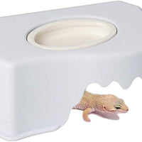 Reptile Hide Cave Box Lizards Hábitat con fregadero Aumenta la humedad y el suministro de agua Hideout para lagos, tortugas, reptiles, anfibios, serpiente pequeña - BESTMASCOTA.COM