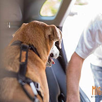Cinturón de seguridad para perro, material resistente, incluyendo anexo de giro sin enredos, mosquetón y barra apego. De Mighty Paw - BESTMASCOTA.COM