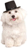 Rubies Costume Company - Gorro para mascota - BESTMASCOTA.COM