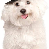 Rubies Costume Company - Gorro para mascota - BESTMASCOTA.COM