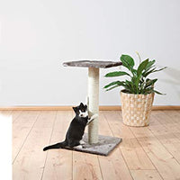 Trixie Pet Espejo Scratching Post - BESTMASCOTA.COM